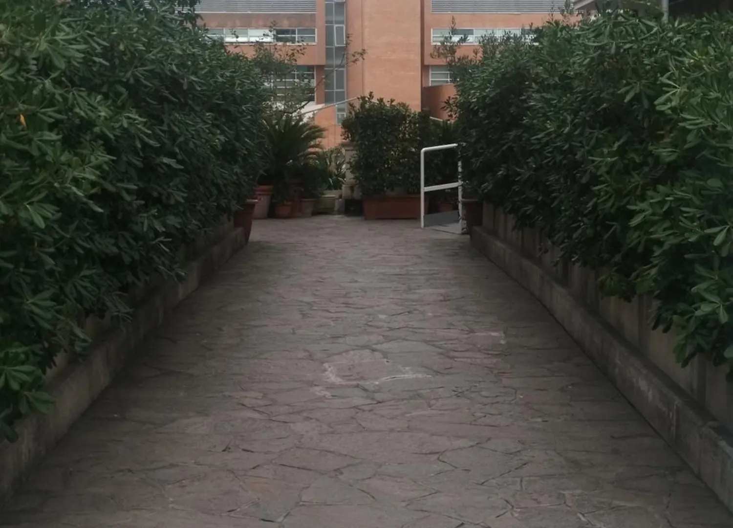 La Casa Di Azzurra Appartement Rome